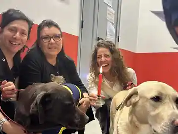 Festa a quattro zampe