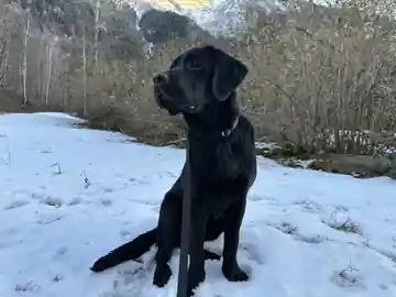 Una passeggiata sulla neve