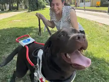 L’imbracatura del cane guida