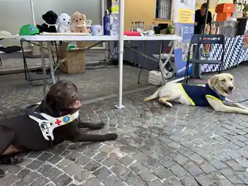 In servizio allo stand del Centro Cani Guida