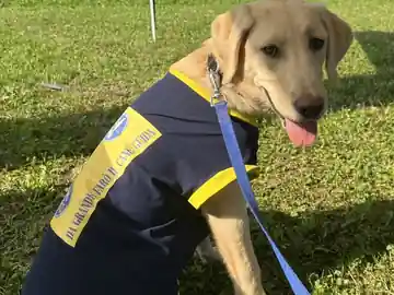 Al parco con la sua pettorina