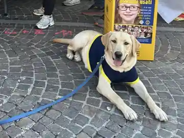 In piazza con i Lions